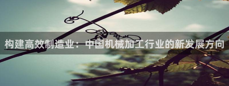 华润娱乐46996精确