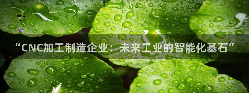 华润娱乐托 92222