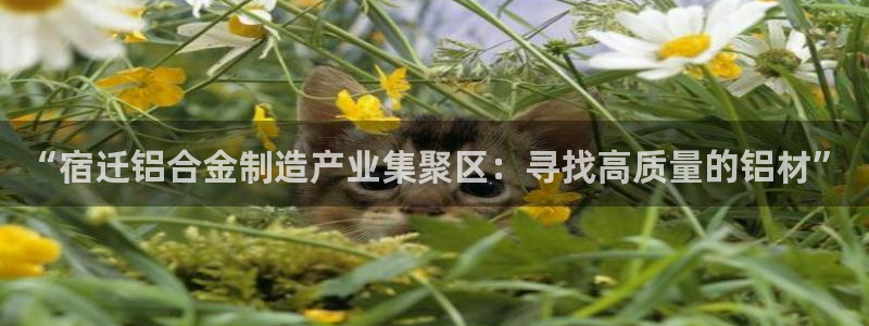 华润的娱乐项目