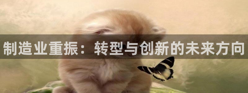 华润娱乐董判官21
