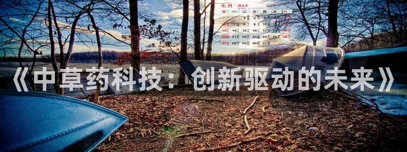 华润娱乐行政实习简历