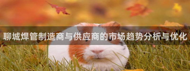 华润娱乐b3指尖