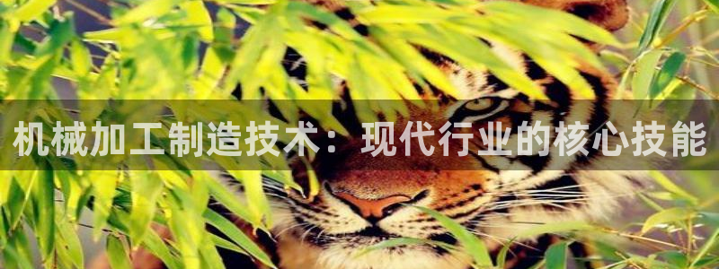 华润娱乐唤92222