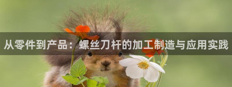华润娱乐麻将客服电话