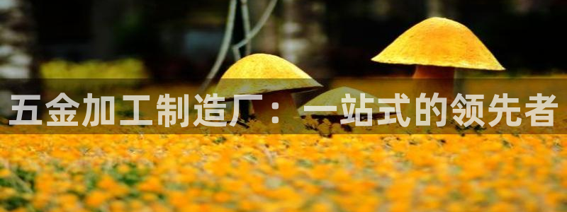 华润娱乐她