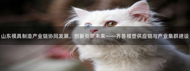华润娱乐官方电话