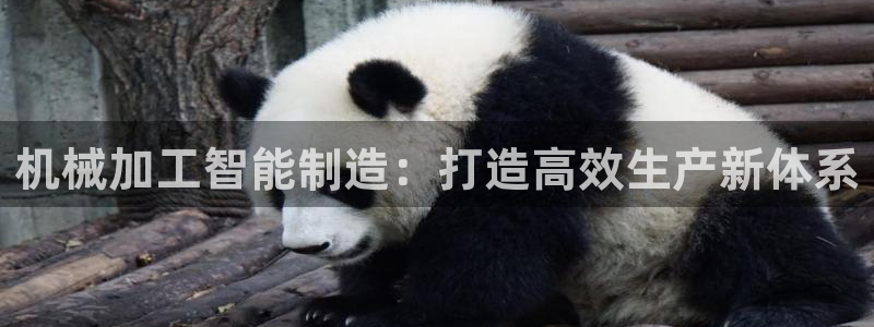 华润娱乐剐922 22