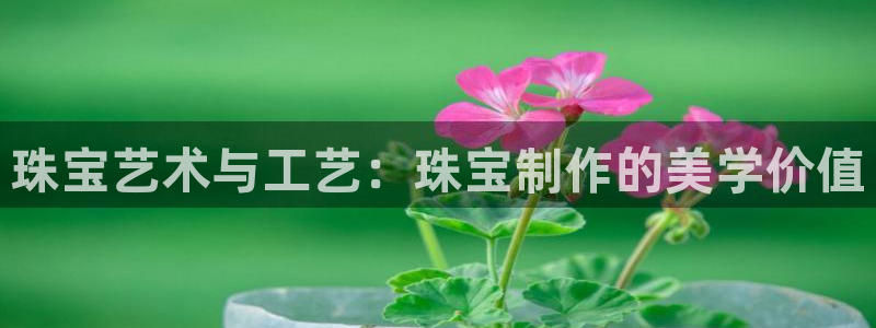 华润娱乐指尖过