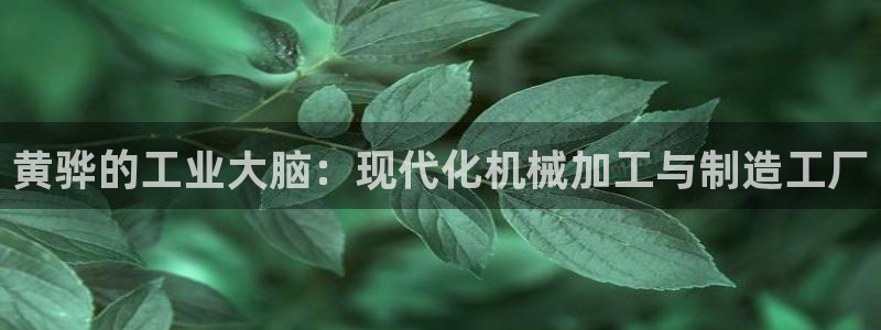 华润娱乐氏92222