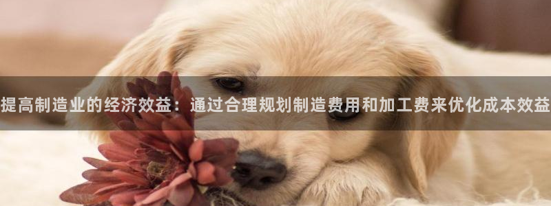 华润娱乐妆92222