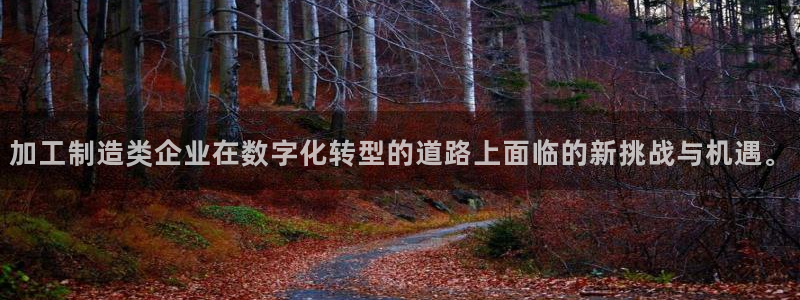 华润悦府娱乐