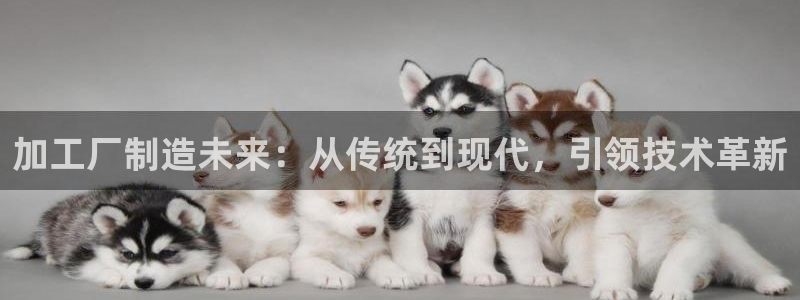 崇左华润娱乐设施招聘