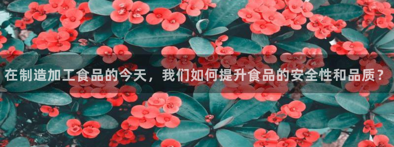华润2娱乐招商主管