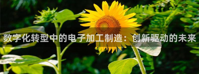 华润娱乐戳122222