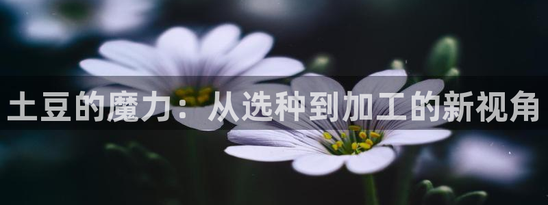 华润娱乐官网注册