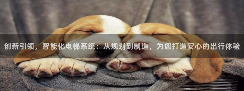 华润娱乐