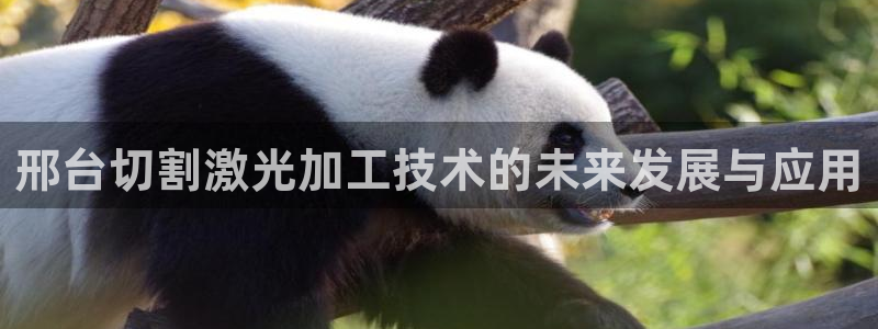 华润娱乐胡判官21