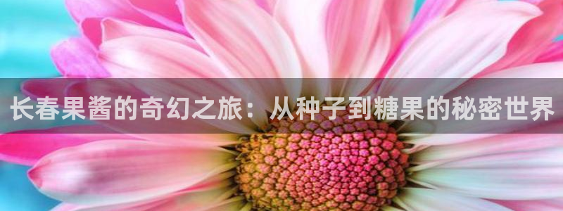 华润娱乐a3指尖