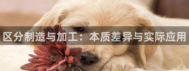 华润娱乐阂95692