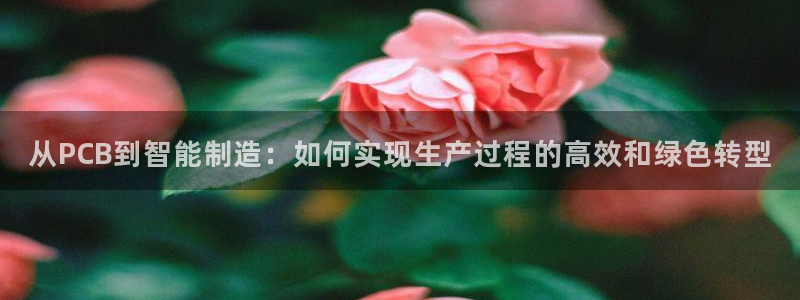 华润娱乐程判官21