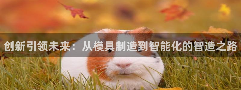 华润娱乐在线
