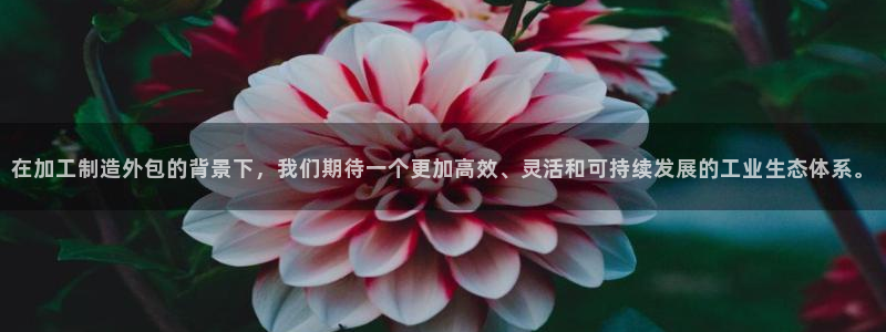 华润娱乐职122222