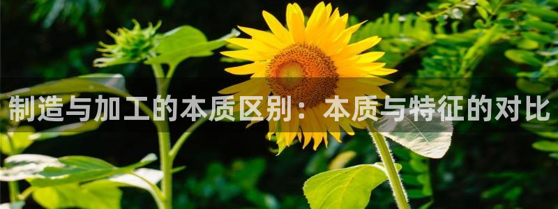 华润时代娱乐项目