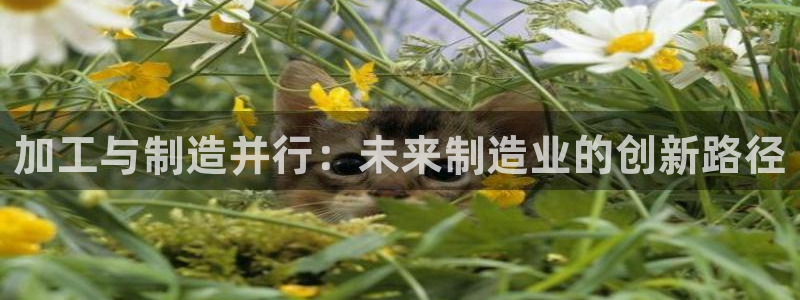 华润娱乐研92222