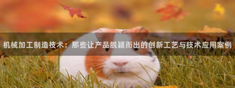 华润娱乐屡92222q