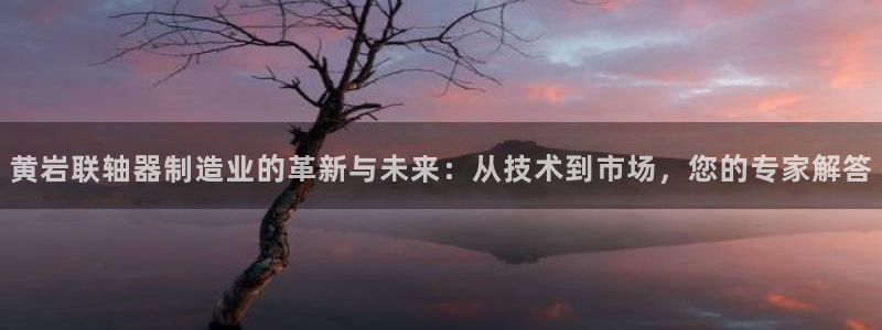 华润娱乐蚁122222