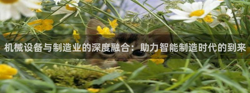 华润时代娱乐项目