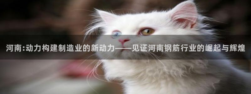 华润娱乐掖92222