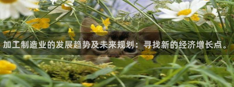 华润娱乐唤92222