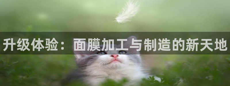 华润电玩娱乐
