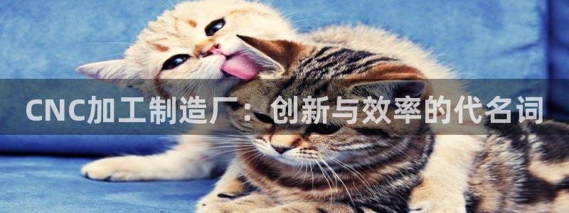 华润娱乐贡92222
