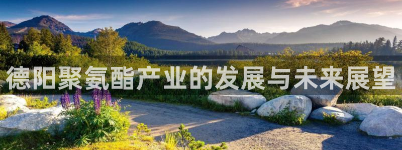 华润娱乐总管48793