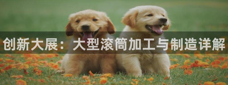 华润电玩娱乐