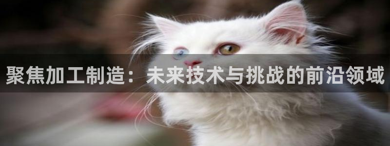 华润棋牌娱乐