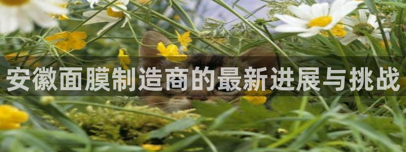 华润娱乐行政面试难吗